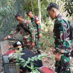 Peduli Kelestarian Alam, Satgasmar TNI AL Lepasliarkan Satwa Dilindungi