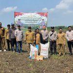 Dukung Ketahanan Pangan di Serang, Polsek Petir Tanam Jagung