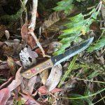 Satgas Damai Cartenz Tembak Balas KKB di Yahukimo, Situasi Kini Aman