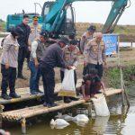 Polda Metro Jaya Tebar 37 Ribu Benih Ikan, Perkuat Ketahanan Pangan Bekasi
