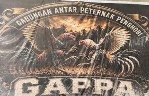 Tameng Latihan Hancur oleh Bukti Kejuaraan: Ironi Penegakan Hukum Judi Sabung Ayam di Medan Johor
